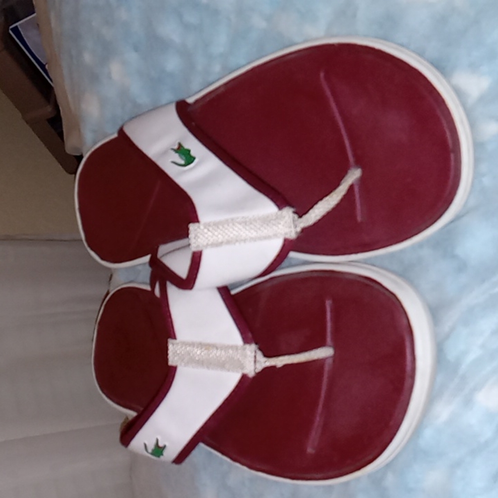 Lacoste sandals, sz. 12. EUC